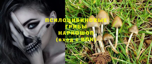 марки nbome Козловка